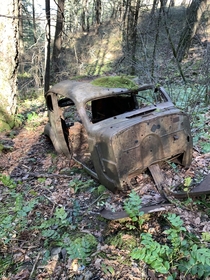 Abandoned car out in the forest