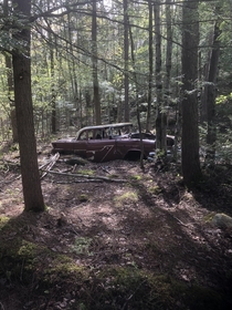 Abandoned car out in the middle of the wood Have no clue how it got there