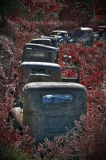 Abandoned cars forming a traffic jam