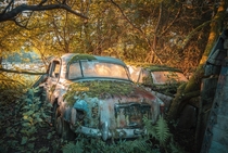 Abandoned Cars from the UK 