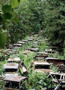 Abandoned cars in Ardennes Does anyone know the story behind this