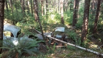 Abandoned cars inexplicably cut in half and missing their back half Probably a former logging site Found while hiking a closedabandoned trail in Oregon