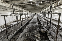 Abandoned cattle feeding barn