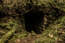 Abandoned cave I found in the black forest 