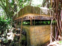 Abandoned cement structure that I found on a hike in Hawaii 