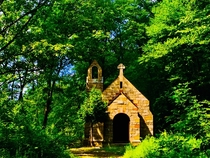 abandoned church in the woods someone found on google maps and rode his bike to