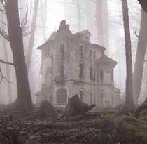 Abandoned church in the woods X