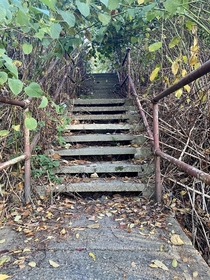 Abandoned city steps Lawrenceville Pittsburgh pa - one of my favorite parts of the city