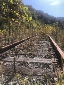 Abandoned coal train tracks near Bandytown WV