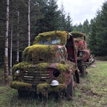 Abandoned coes in Oregon