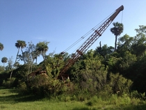 Abandoned crane in New Smyrna FL 