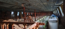 Abandoned Dairy Barn 