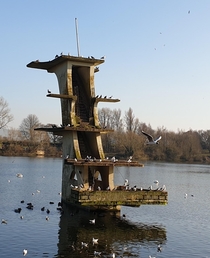 Abandoned diving platform in the middle of a lake x 