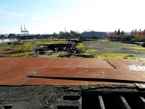 Abandoned dock in Seattle