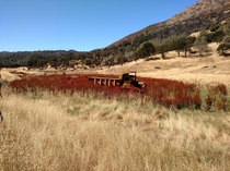 Abandoned Dump Truck - Mt Diablo CA 