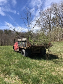 Abandoned dump truck that was hauling a load of dirt parked in this pasture field