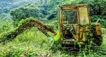 Abandoned Excavator Re-claimed by Nature Alishan Taiwan