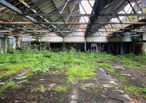 Abandoned factory floor Ireland
