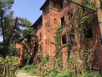 Abandoned factory overgrown with vines Chengdu China 