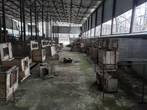 Abandoned fish hatchery near Chernobyl