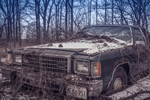 Abandoned Ford in the woods