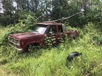 Abandoned Ford Ranger in the corner of a field