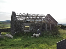 Abandoned gravediggers house Wales