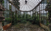 Abandoned Greenhouse in Belgium