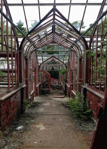 Abandoned Greenhouses at the Thompson Institute for Plant Research 
