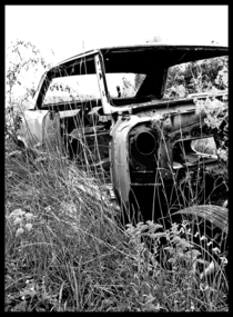 Abandoned  GTO shell SE Indiana 