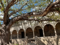 Abandoned Hacienda Yucatn Mexico built in  and abandoned in 