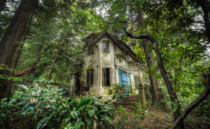Abandoned Home in the woods