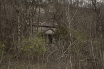 Abandoned homestead in western Illinois x 