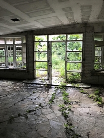 Abandoned house Ive admired for years Finally decided to check it out did not disappoint