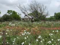 Abandoned House - Texas