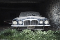 Abandoned Jaguar 