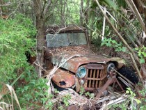 Abandoned Jeep I found in the woods when hiking on my dads property out in the swamp in Florida 