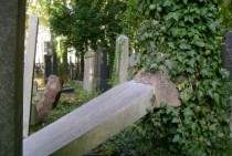 Abandoned Jewish Gravestones in Berlin 