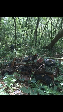 Abandoned lawnmower found in the woods Lutz FL