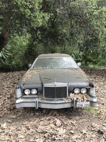 Abandoned Lincoln