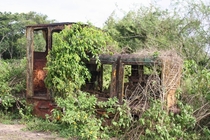 Abandoned locomotive Commewijne - Suriname