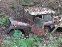Abandoned MAC jeep in the woods