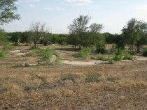 Abandoned Mini-Golf Course Lubbock TX 