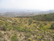 Abandoned olive farm Sorbas Spain 