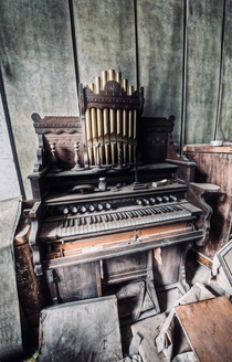 Abandoned organ 