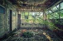 Abandoned overgrown room 