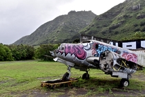 Abandoned Partial Plane on Oahu Hawaii