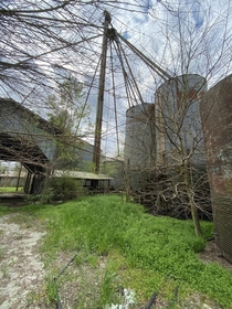 Abandoned Plant - South Carolina