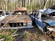 Abandoned police cars in a forest in Maryland more pictures in comments
