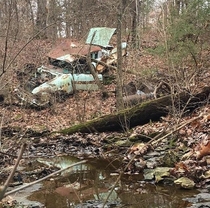 Abandoned  Pontiac Catalina and s firebird to destodyed to find out morenext to each other both left in the woods by farmer